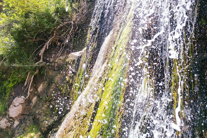 Samana El Limon Waterfall Guided Hike and Horseback Adventure
