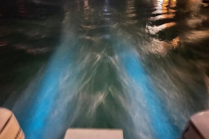 Grand Cayman - Bioluminescent Bay Tour
