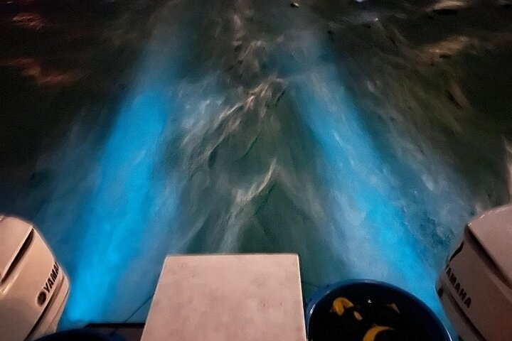 Grand Cayman - Bioluminescent Bay Tour