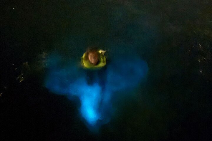 Grand Cayman - Bioluminescent Bay Tour