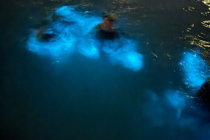 Grand Cayman - Bioluminescent Bay Tour