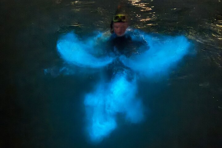 Grand Cayman - Bioluminescent Bay Tour