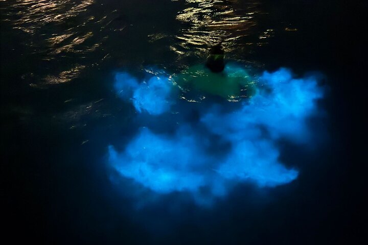 Grand Cayman - Bioluminescent Bay Tour
