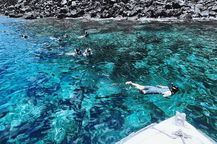 South Plazas and Punta Carrion Day Tour:Land Iguanas & Snorkeling