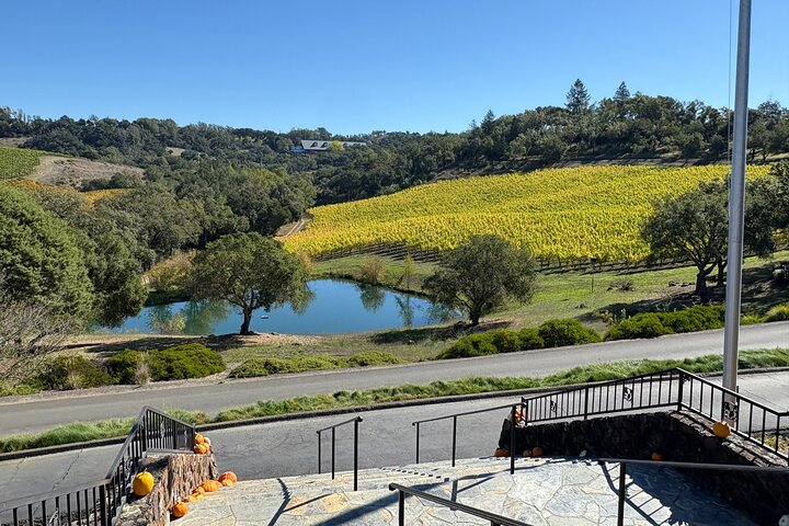 Fabulous Private Wine Tour of Napa & Sonoma: 2 to 5 People