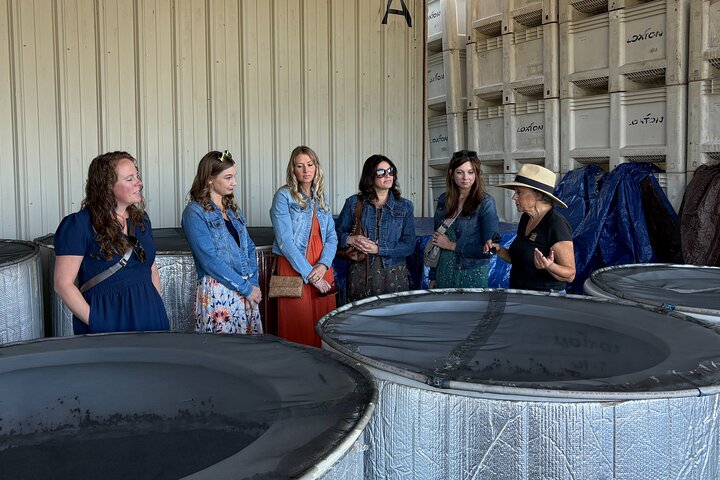 Fabulous Private Wine Tour of Napa & Sonoma: 2 to 5 People