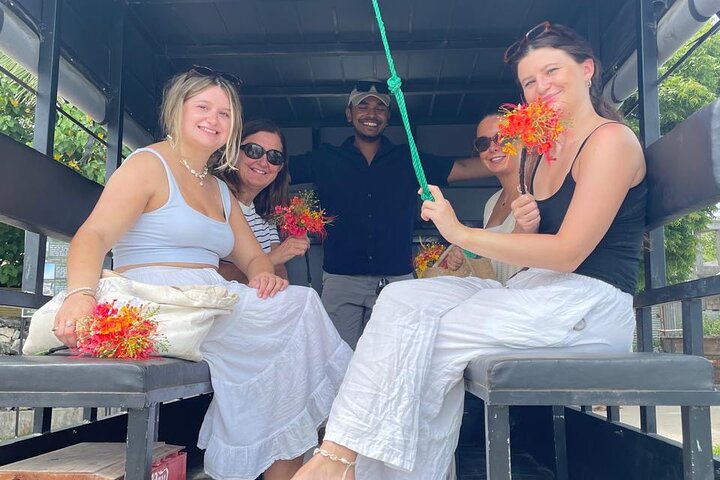 Delft Island Guided Tour Discover the Beauty and Culture