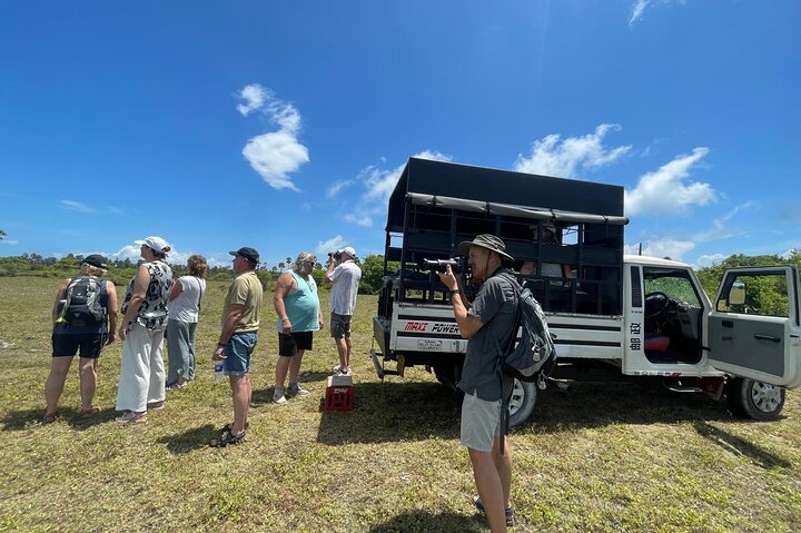 Delft Island Guided Tour Discover the Beauty and Culture