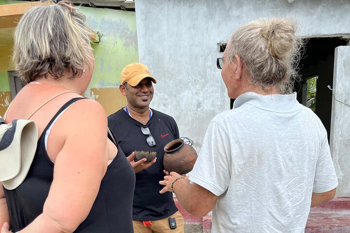 Delft Island Guided Tour Discover the Beauty and Culture