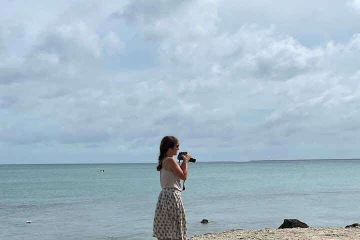 Delft Island Guided Tour Discover the Beauty and Culture