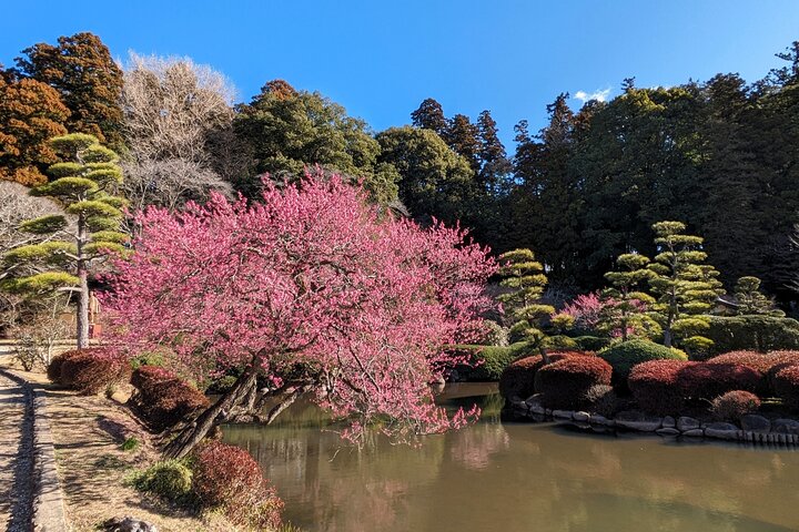 Ibaraki: Kairakuen, One of Japan’s Three Great Gardens