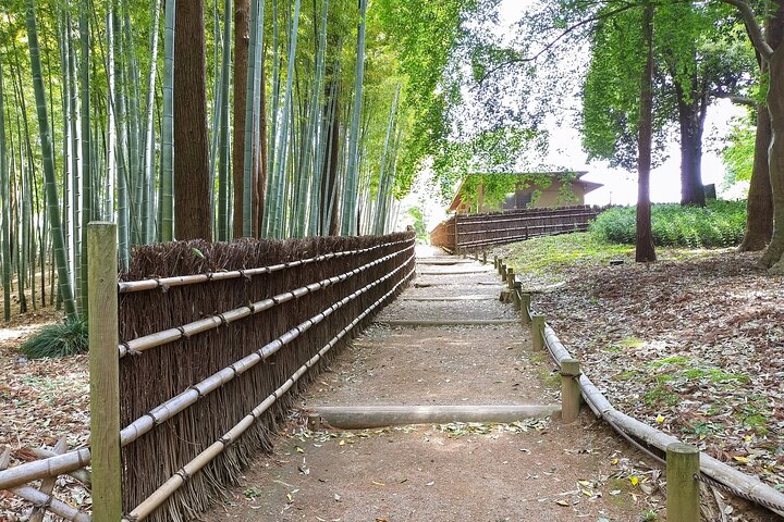 Ibaraki: Kairakuen, One of Japan’s Three Great Gardens