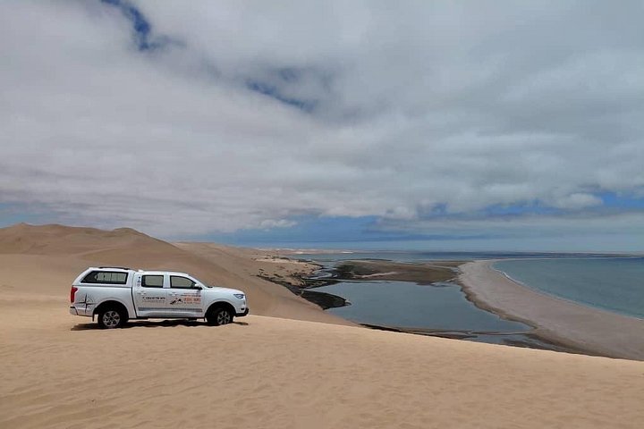 Sandwich Harbour Adventure Seals and Sandwich harbour dune drive
