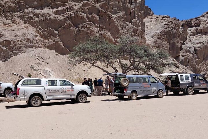 Sandwich harbour and Welwitschia Tour