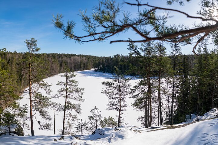 Helsinki: Nuuksio National park hiking with campfire lunch
