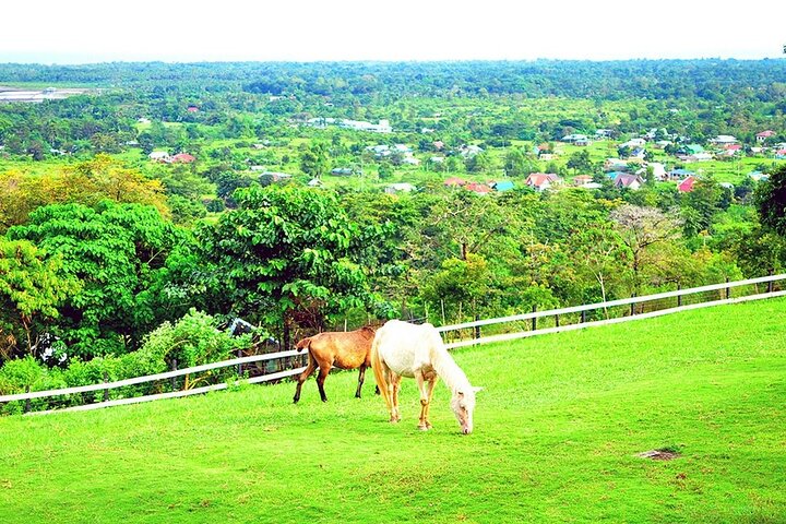 Puerto Princesa Half Day City Tour Feel and Live Like a Local
