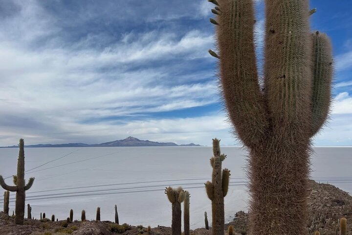 Uyuni Salt Flat and Lagoon Tour 3 Days and 2 Nights - Shared tour