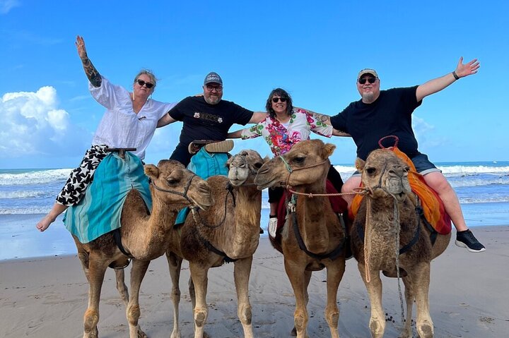 Private Luxury 4-Hour Tangier tour