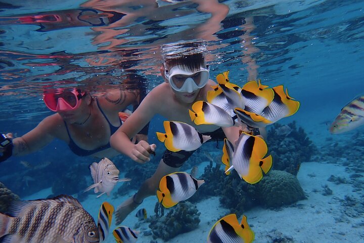 1/2 day Tahaa coral garden - departure Raiatea / ideal for cruise passengers