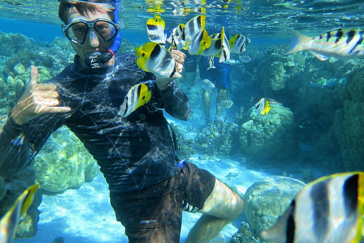 1/2 day Tahaa coral garden - departure Raiatea / ideal for cruise passengers