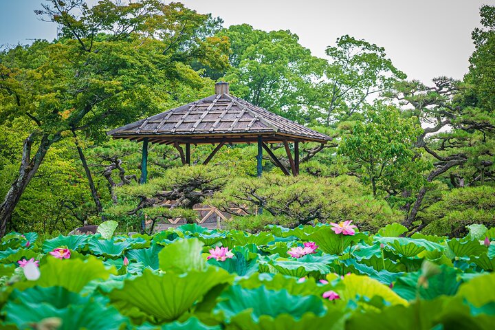 Kagawa: Takamatsu Ritsurin Garden Guided Tour