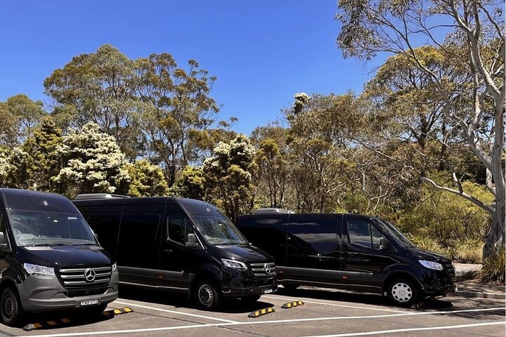 Blue Mountains Mercedes Tour: Cockatoos, Cascades & Scenic World