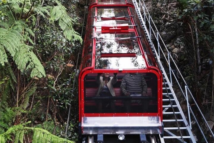 Blue Mountains Mercedes Tour: Cockatoos, Cascades & Scenic World