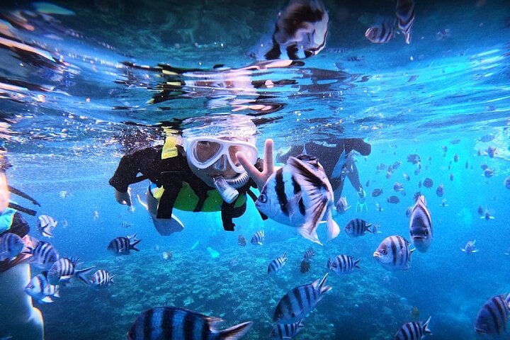 Okinawa Blue Cave Snorkeling Adventure with Free Photos