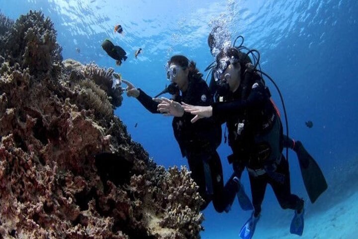 Okinawa Blue Cave Diving Adventure with Free Photos