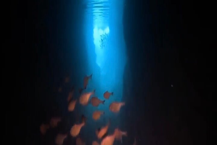 Okinawa Blue Cave Diving Adventure with Free Photos