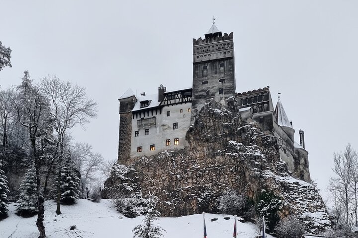 Private Tour from Bucharest: Bear Sanctuary, Dracula & Brasov