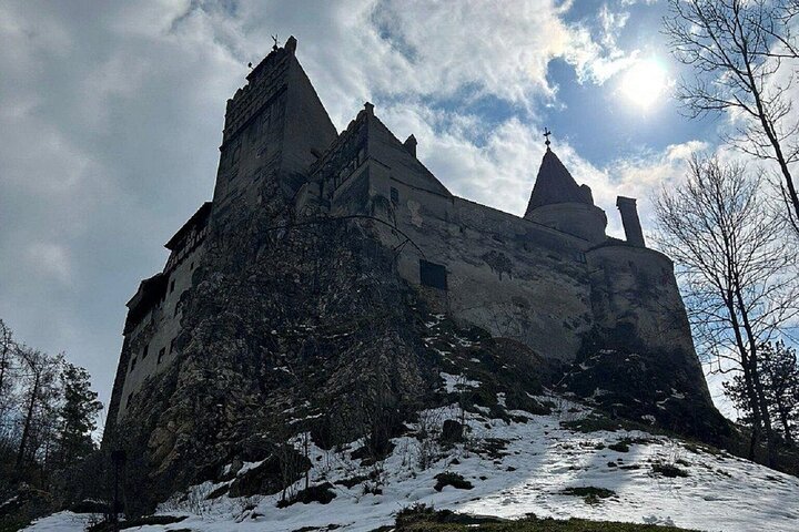 Private Tour from Bucharest: Bear Sanctuary, Dracula & Brasov