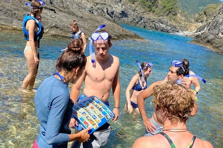 Kayak experience with Carnassa Tour in Cinque Terre + Snorkeling