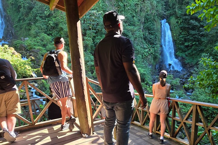 Dominica Roseau City and Rainforest Tour