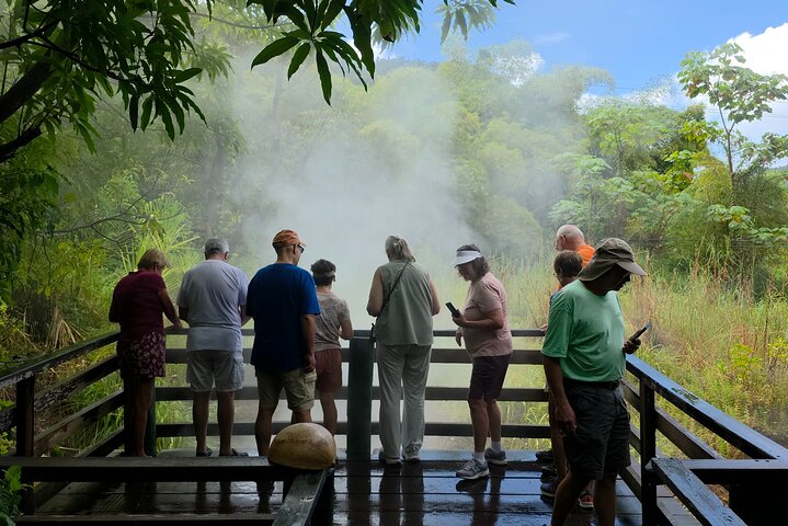 Dominica Roseau City and Rainforest Tour