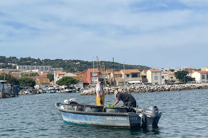Sète Day Tour Sète Oysters and Wine Tour