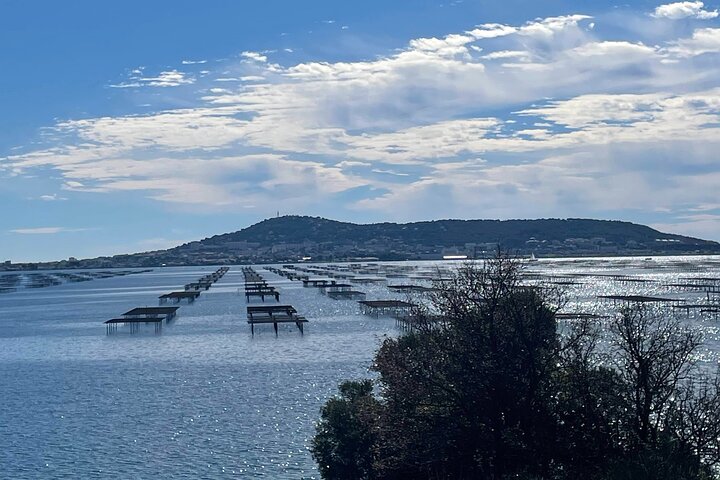 Sète Day Tour Sète Oysters and Wine Tour