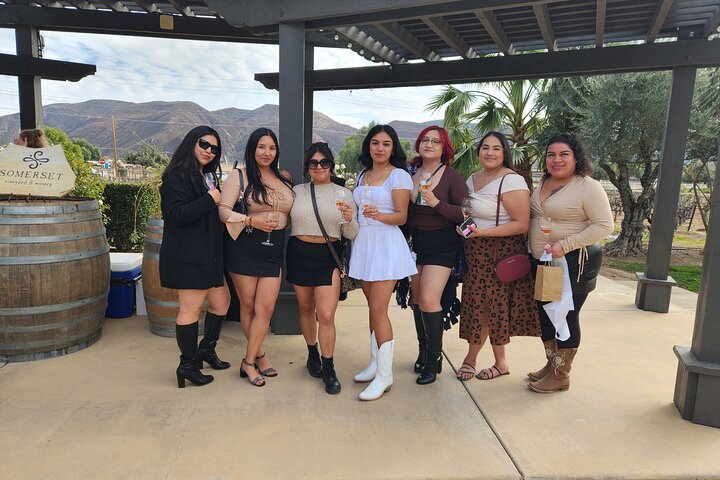 Temecula Wine Tour - 3 Wineries Guided By Local Experts