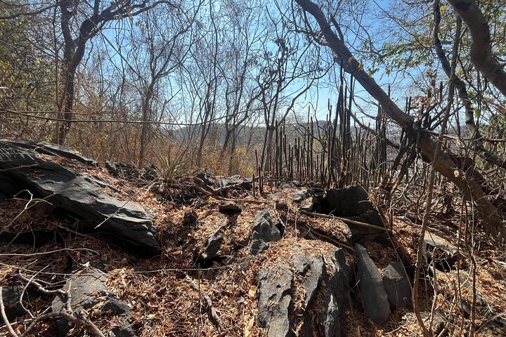 Hiking in the Tiger Cave