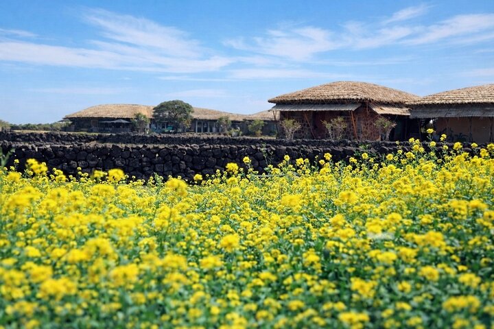 Jeju East Essentials – Seongsan Ilchulbong (UNESCO) & Haenyeo