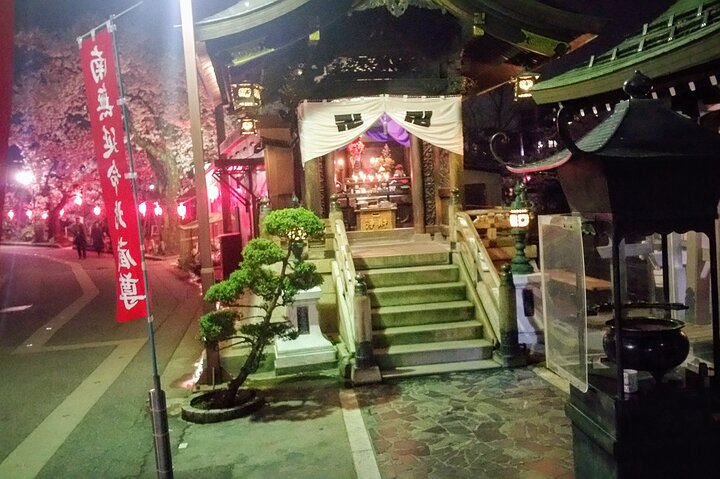 Secrets of Toyama: An Exclusive Journey of Culture and Cuisine