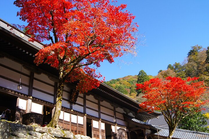 Fukui: Eiheiji Temple and the Heart of Zen Buddhism