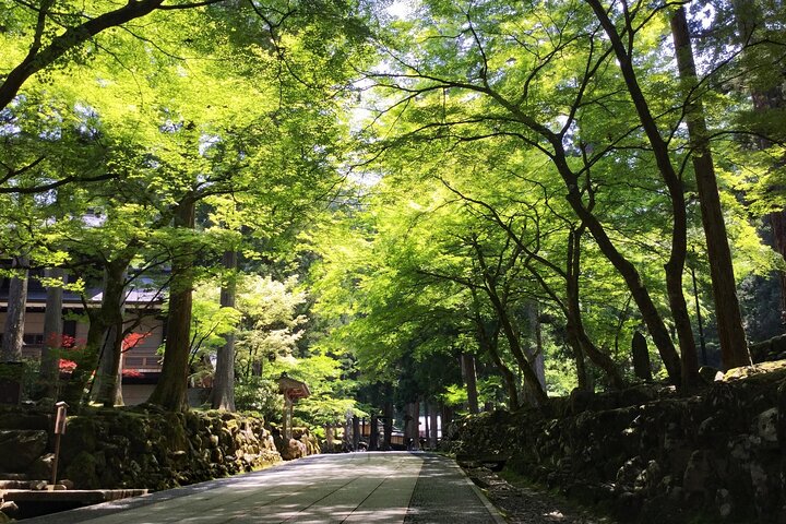 Fukui: Eiheiji Temple and the Heart of Zen Buddhism