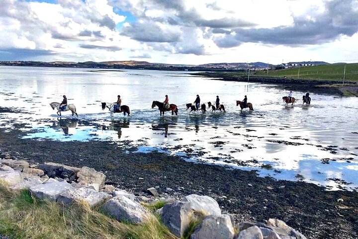Beach & countryside horse riding outside Westport. Guided. 1 hour