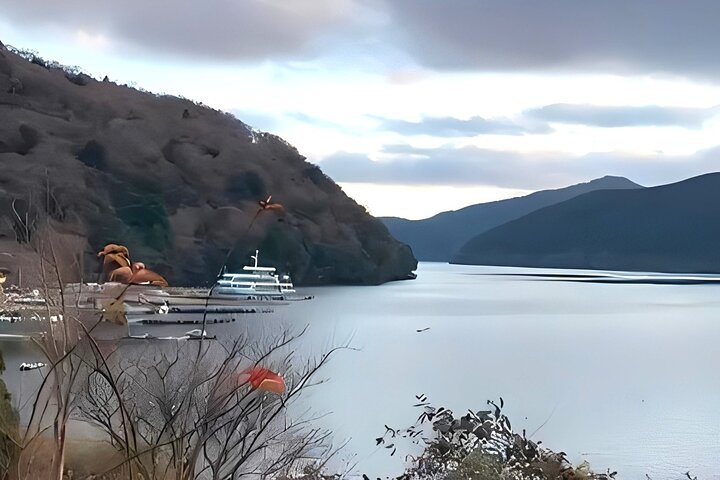 Mount Fuji and Hakone Private Tour