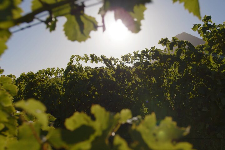 Unguided Hemel-en-Aarde Wine Tour
