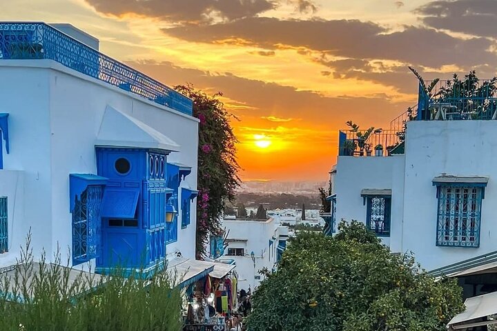 Tunis,Carthage&Sidi Bou Said:Premium Private Day Tour with Pickup
