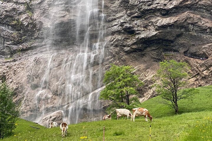 Discover Lauterbrunnen with CHEESE & CHOCOLATE