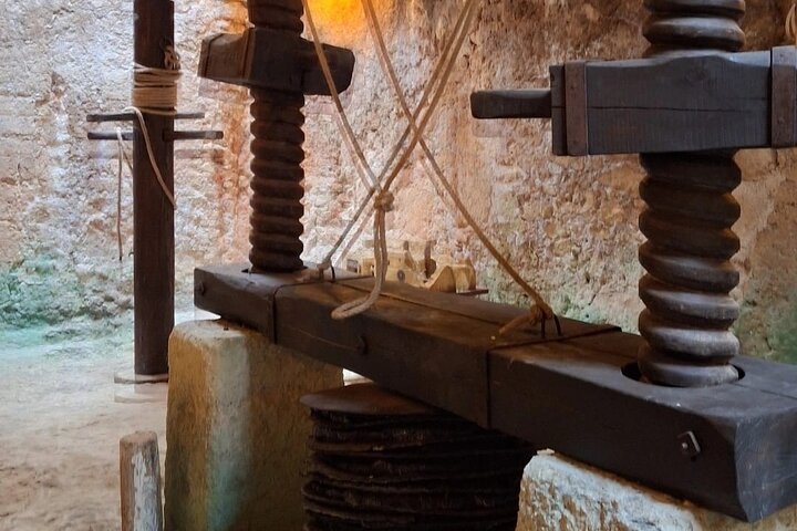 Ostuni : Tasting of Extra Virgin Olive Oil in Masseria