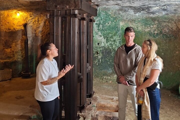 Ostuni : Tasting of Extra Virgin Olive Oil in Masseria